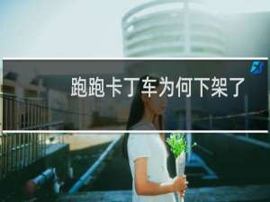 跑跑卡丁车为何下架了