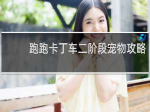 跑跑卡丁车二阶段宠物攻略