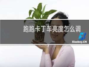 跑跑卡丁车亮度怎么调