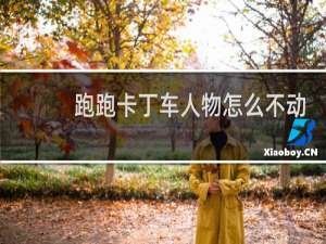 跑跑卡丁车人物怎么不动