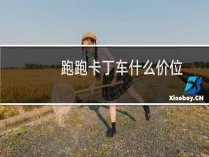 跑跑卡丁车什么价位