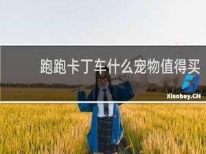 跑跑卡丁车什么宠物值得买