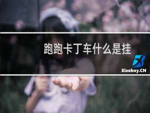 跑跑卡丁车什么是挂