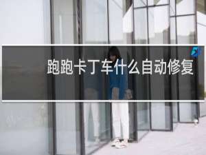 跑跑卡丁车什么自动修复