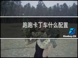 跑跑卡丁车什么配置