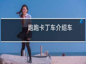 跑跑卡丁车介绍车