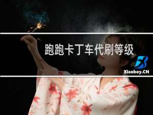 跑跑卡丁车代刷等级