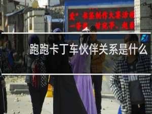 跑跑卡丁车伙伴关系是什么