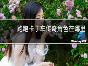 跑跑卡丁车传奇角色在哪里