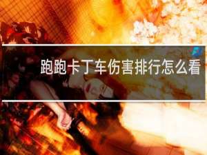跑跑卡丁车伤害排行怎么看