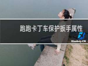 跑跑卡丁车保护扳手属性