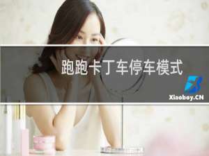 跑跑卡丁车停车模式