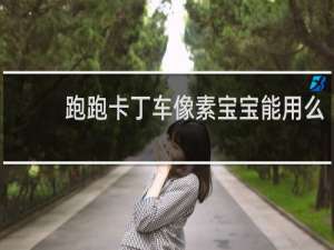 跑跑卡丁车像素宝宝能用么