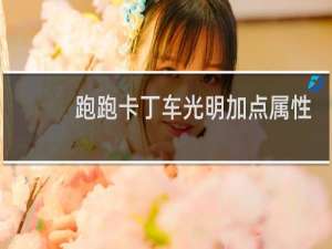 跑跑卡丁车光明加点属性