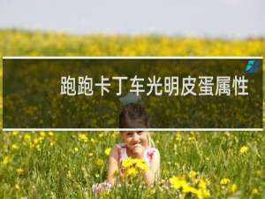 跑跑卡丁车光明皮蛋属性