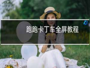 跑跑卡丁车全屏教程