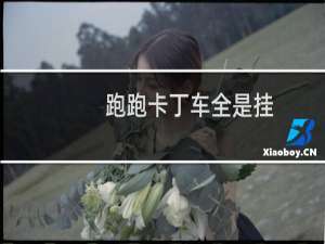 跑跑卡丁车全是挂