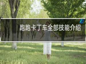 跑跑卡丁车全部技能介绍