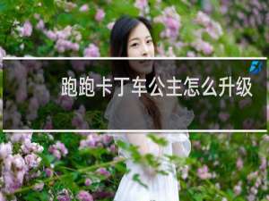 跑跑卡丁车公主怎么升级