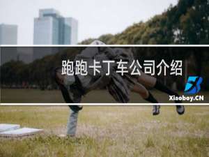 跑跑卡丁车公司介绍