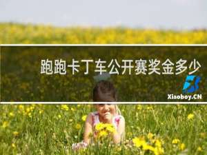 跑跑卡丁车公开赛奖金多少