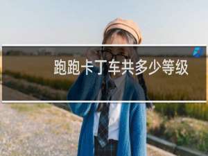跑跑卡丁车共多少等级