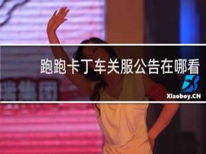 跑跑卡丁车关服公告在哪看