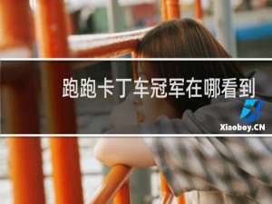 跑跑卡丁车冠军在哪看到