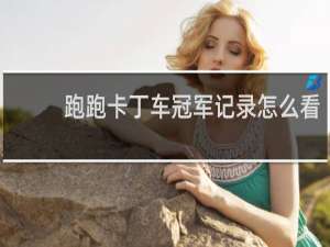 跑跑卡丁车冠军记录怎么看