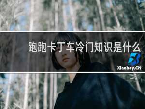 跑跑卡丁车冷门知识是什么