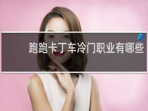 跑跑卡丁车冷门职业有哪些