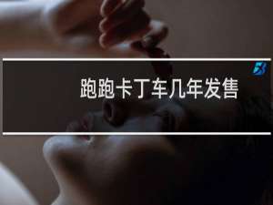 跑跑卡丁车几年发售