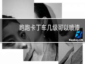 跑跑卡丁车几级可以喷漆