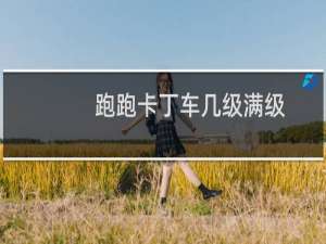 跑跑卡丁车几级满级
