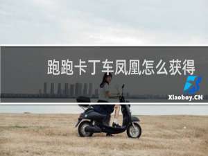 跑跑卡丁车凤凰怎么获得