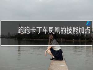 跑跑卡丁车凤凰的技能加点