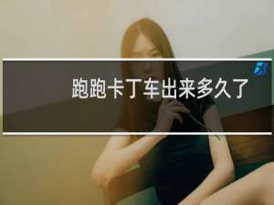 跑跑卡丁车出来多久了