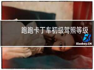 跑跑卡丁车初级驾照等级