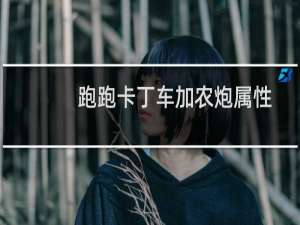 跑跑卡丁车加农炮属性