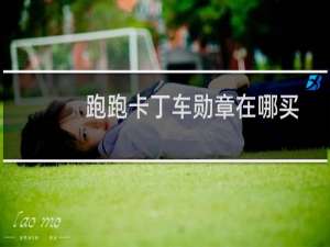 跑跑卡丁车勋章在哪买