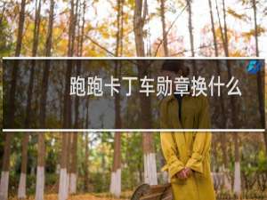 跑跑卡丁车勋章换什么