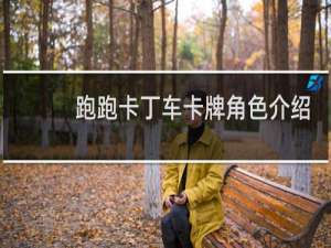 跑跑卡丁车卡牌角色介绍