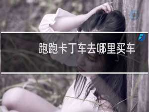 跑跑卡丁车去哪里买车