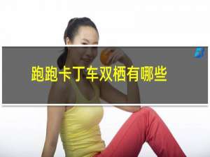 跑跑卡丁车双栖有哪些