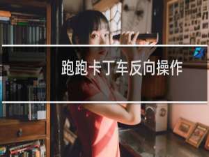 跑跑卡丁车反向操作