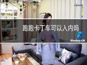 跑跑卡丁车可以入内吗