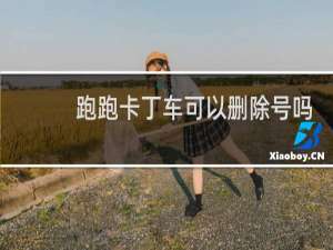跑跑卡丁车可以删除号吗
