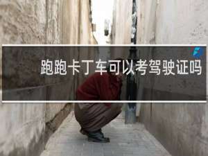 跑跑卡丁车可以考驾驶证吗