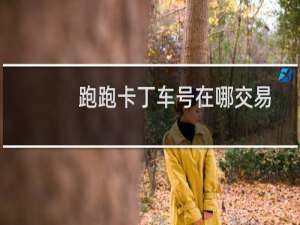 跑跑卡丁车号在哪交易