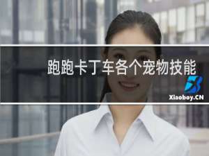 跑跑卡丁车各个宠物技能